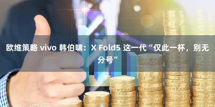 欧维策略 vivo 韩伯啸：X Fold5 这一代“仅此一杯，别无分号”