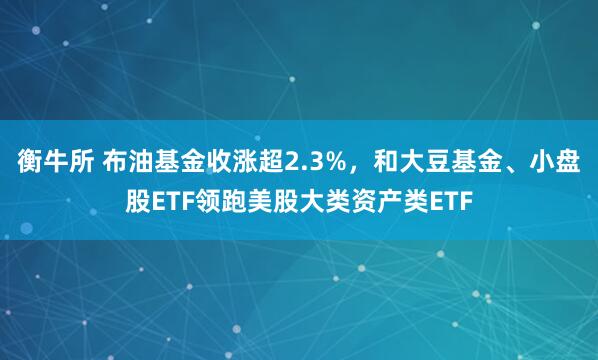 衡牛所 布油基金收涨超2.3%，和大豆基金、小盘股ETF领跑美股大类资产类ETF