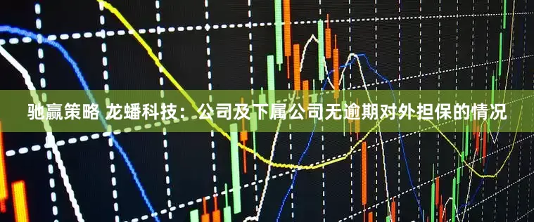 驰赢策略 龙蟠科技：公司及下属公司无逾期对外担保的情况