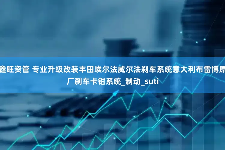 鑫旺资管 专业升级改装丰田埃尔法威尔法刹车系统意大利布雷博原厂刹车卡钳系统_制动_suti