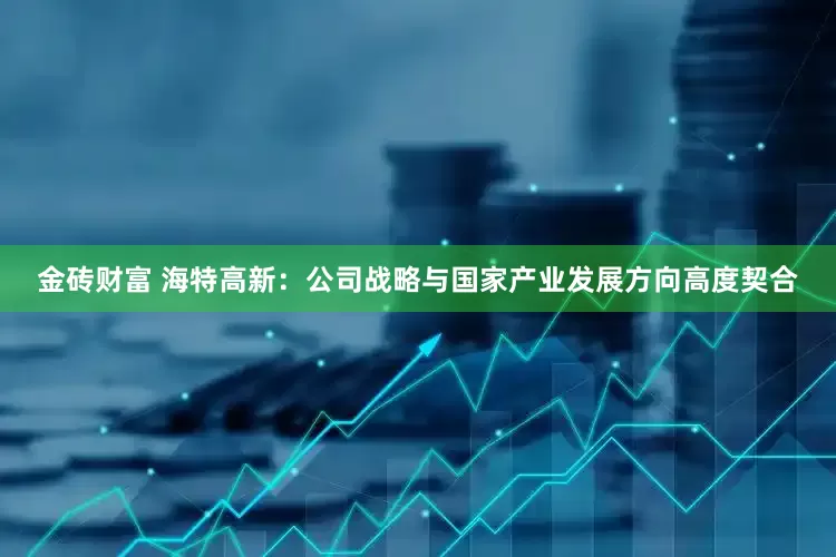 金砖财富 海特高新:公司战略与国家产业发展方向高度契合