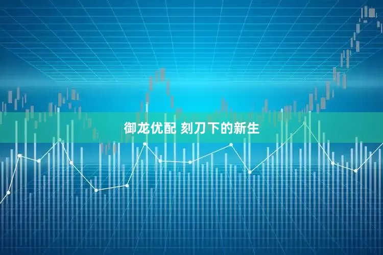 御龙优配 刻刀下的新生